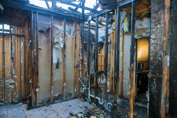 Professional Fire Damage Removal technician working in Southside Place, TX